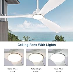 Depuley 60" Modern Ceiling Fan with Lights and