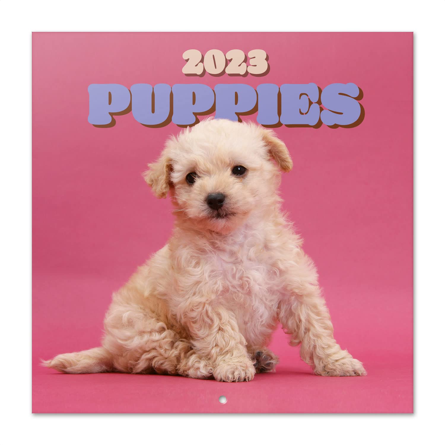 Grupo Erik Official Dogs Wall Calendar 2023 12" x 12" FSC| 12 Month Planner | Square Wall Calendar 2023 | Family Planner Calendar 2023 | Dog Calendar 2023 | + 4 Bonus Months (CP23002)