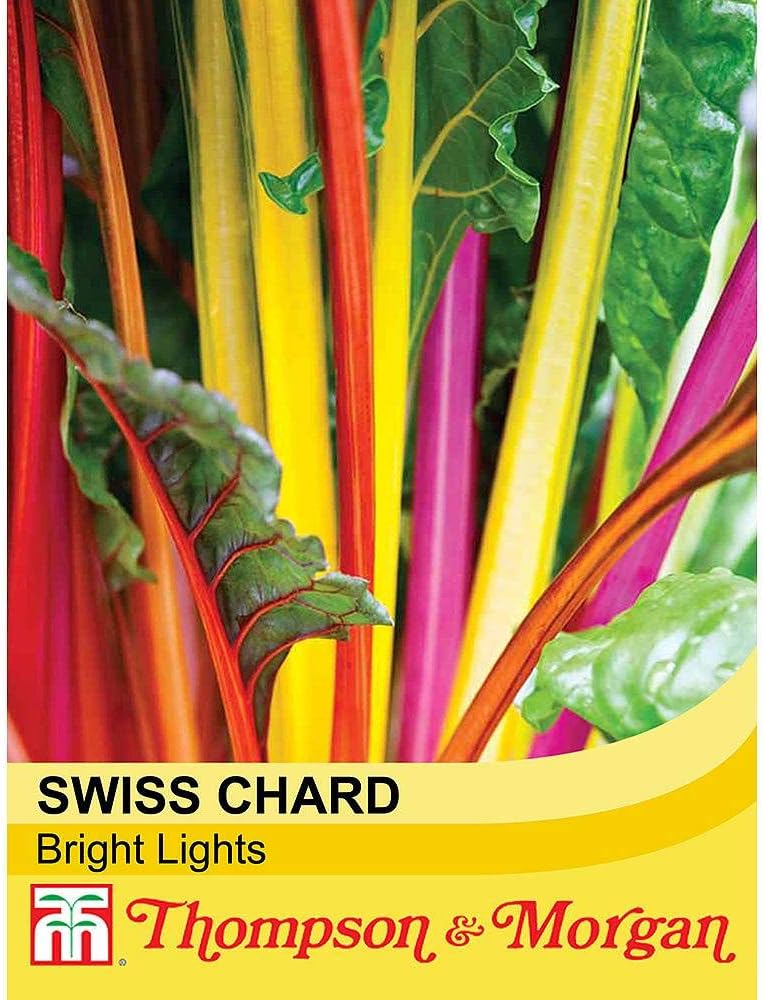 Swiss Chard 'Bright Lights' Seeds Hardy Annual Biennial Autumn Salad Vegetable Plant Garden Allotment Grow Your Own Mixed Colours 1 Packet of 80 Seeds by Thompson and Morgan