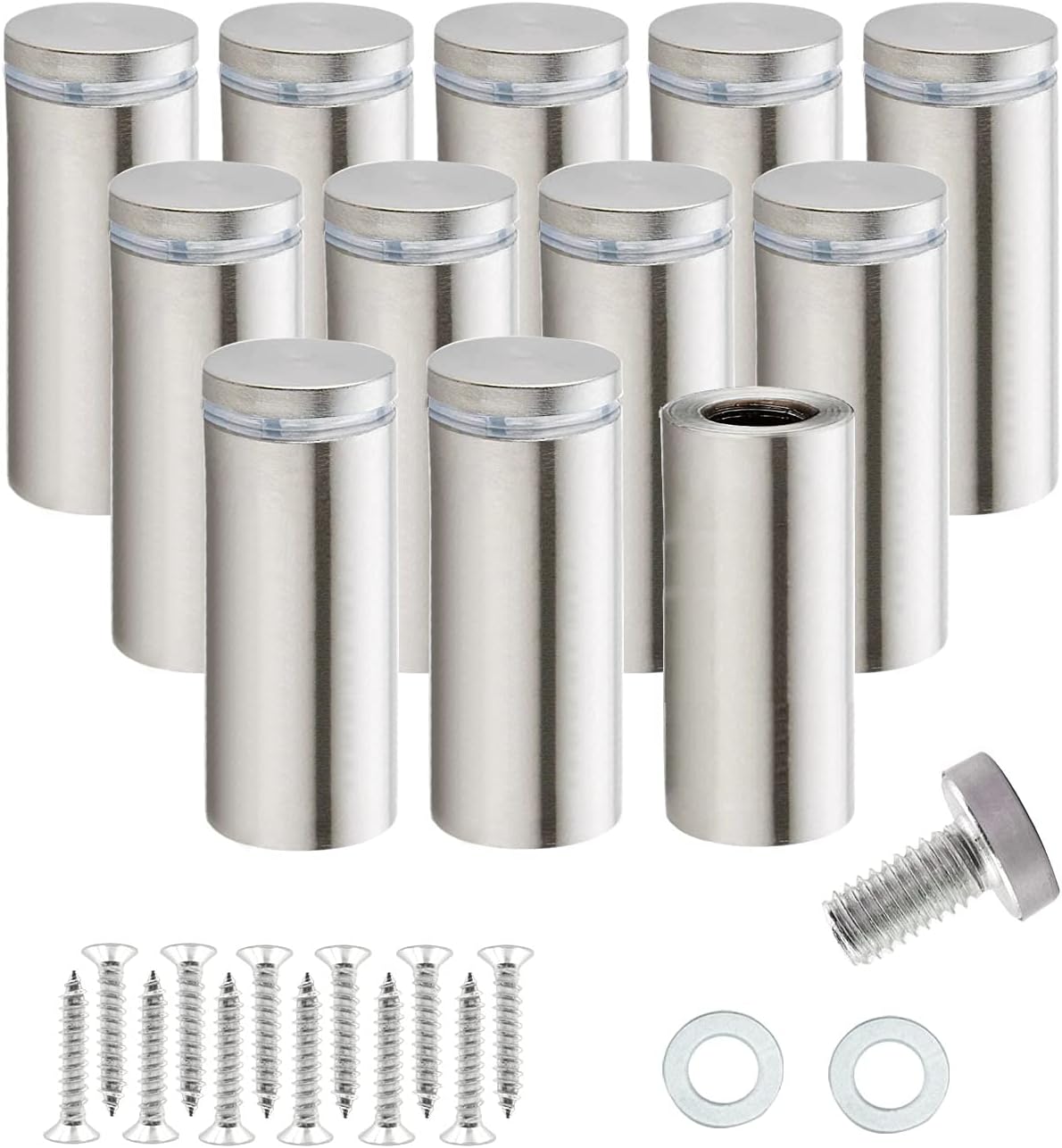 RuoFeng Stainless Steel Wall Mount Glass Standoff Holder Screw Nails Advertising Nails 12 Pcs (16x80mm)