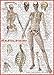 EuroGraphics Skeletal System (Human Body) 1000 Piece Puzzle