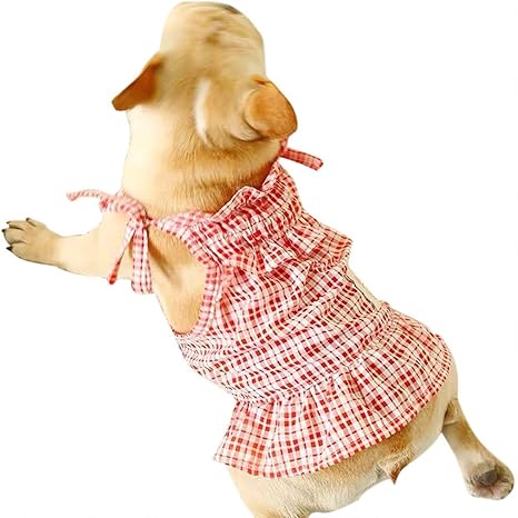 Amazon Co Jp Tivivose ペット服 犬服 ふわふわ 余暇 セクシー スカート 赤 格子 犬猫 コートドッグ ウェア ベスト Tシャツ ペット用品 春夏服 薄い 涼やか お散歩 お出かけ わんちゃん 小中型犬 可愛い スポーツ服 通気性 上着 仮装 小型 中型 コスチューム 脱毛保護