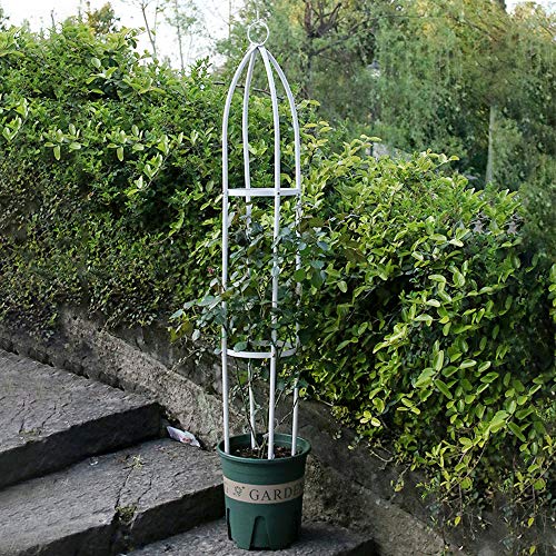 HANTURE 1,4 m Garten Obelisk Rankgitter, Kletterpflanzen Metall Stützständer Zylindrischer Turm, Dekorative Vertikale… – Bild 5