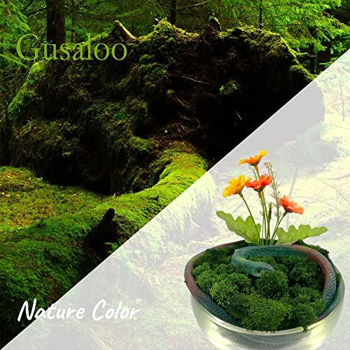 Moss 3.5OZ Preserved Moss for Potted Plants Natural Fresh Green