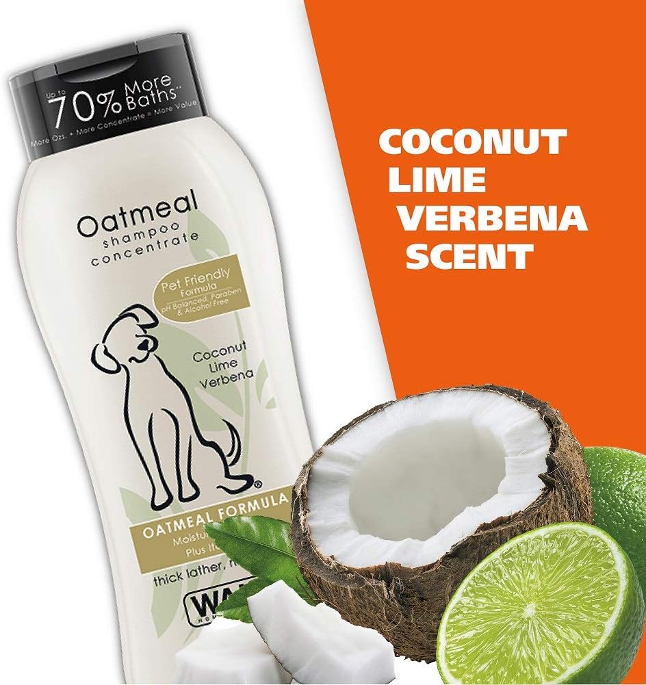 Pet Shampoos : Wahl Dry Skin & Itch Relief Pet Shampoo for Dogs – Oatmeal Formula with Coconut Lime Verbena & 100% Natural Ingredients – 24 Oz