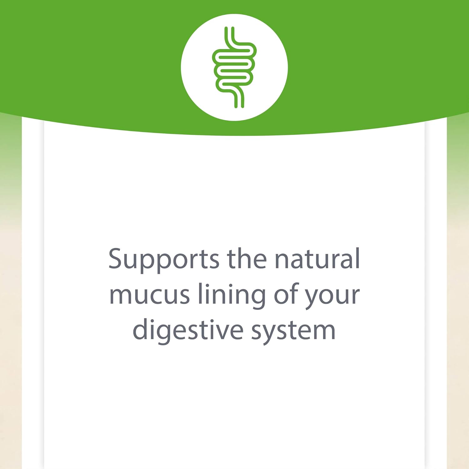 Natural Factors, Chewable DGL 400 mg, Licorice Root, Vegan, 180 tablets (180 servings): Health & Personal Care