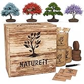 Bonsai Tree Seed Starter Kit - All You Need to Grow 4 Bonsai Trees from Seeds. All-in-One Indoor/Outdoor DIY Beginner Grow ki
