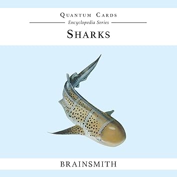 Brainsmith Quantum Flashcards, Sharks - Learning Flash Card Set for Toddlers and Kids (8 months to 8 years) for Memory and Brain Development