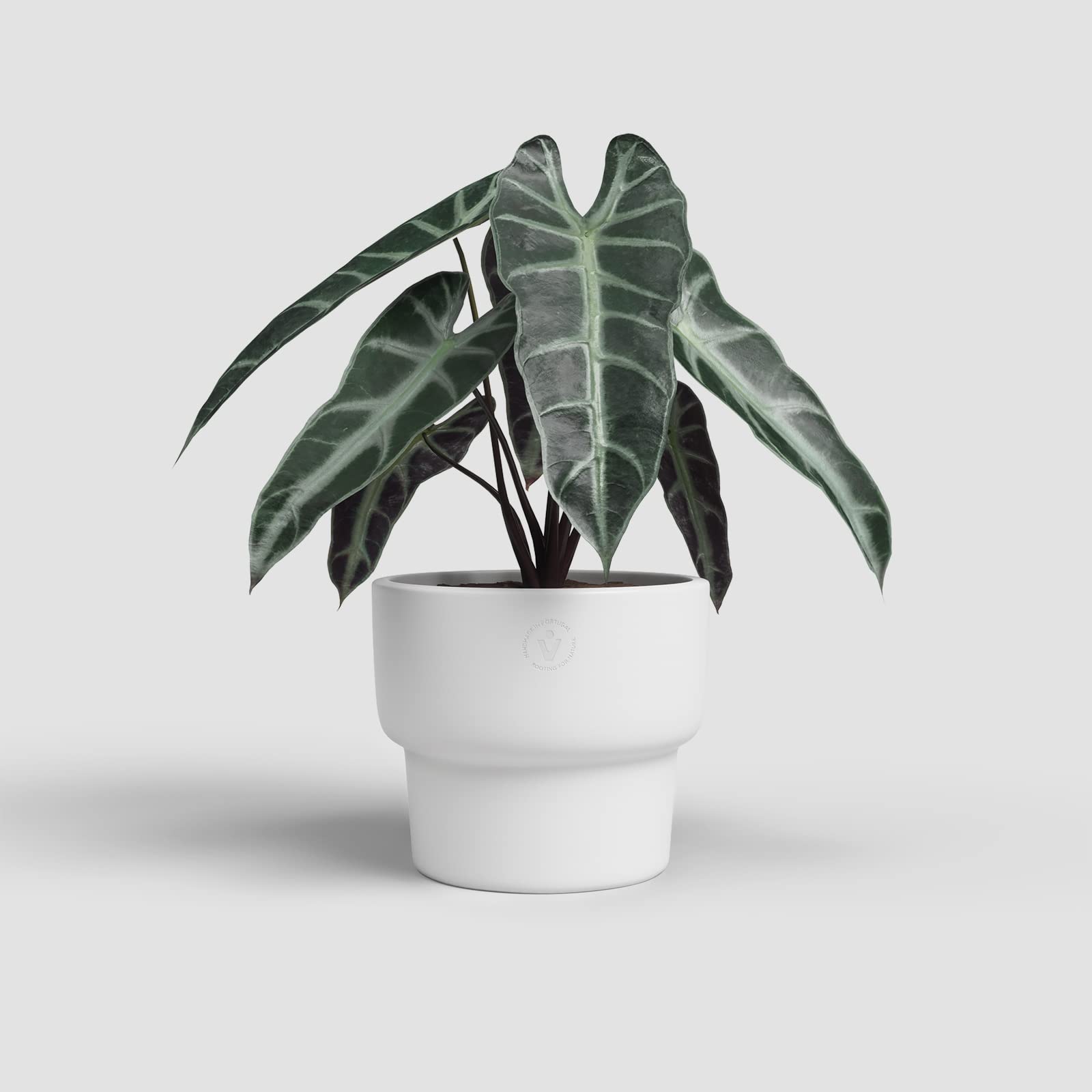 Artevasi Echo High Pot, Flower pot, Home decoration, 16,5cm diameter, white