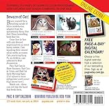 Image de Bad Cat Page-A-Day Calendar 2017