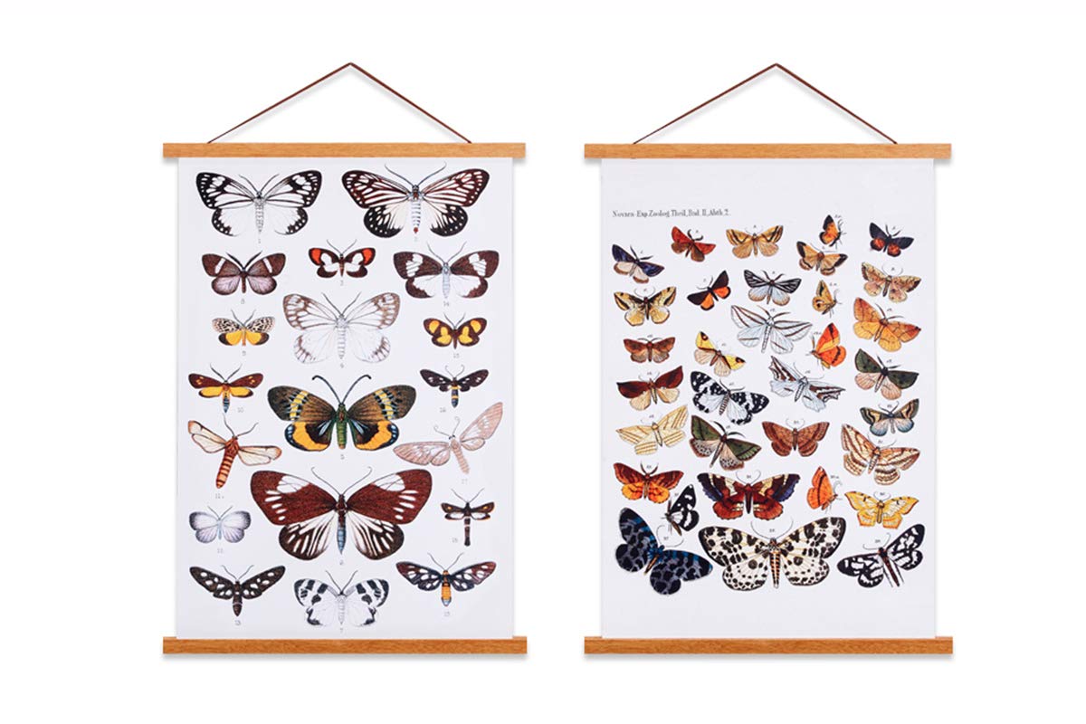 Buy Ywlake 20x28 20 Frame Hanger, Hangers Hanging Kit