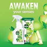 Dettol Antibacterial Surface Cleaner 750 ml 6 Pack Tru Clean view 2