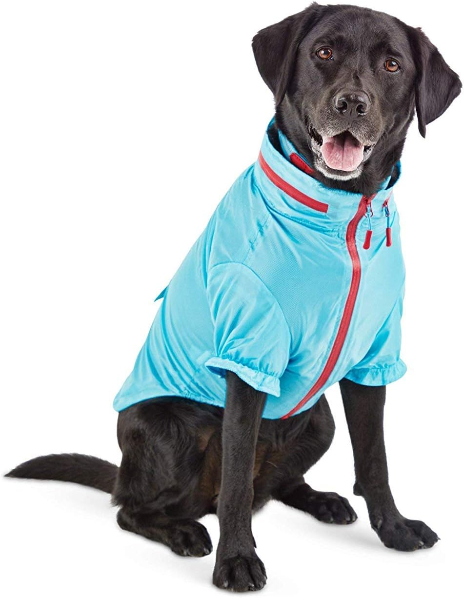 dog raincoat petco