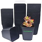 RooTrimmer Square Nursery pots 4 Inches 60Pcs, Seedling Plastic Seeds propogation Growing Pots (Black,4Inches,60Pcs)