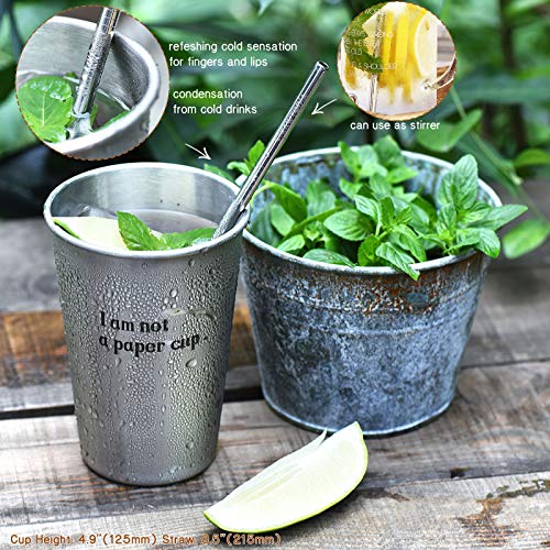 STRAWTOPIA Metal Straws with Case 1 Straight 1 Bent Reusable Straws 1 Straw Brush 1 Bag (Stainless S - //coolthings.us