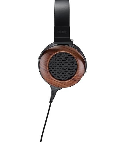 Amazon.com: Fostex TH616 Premium Open Back Audiophile Headphones