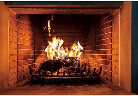 Amazon Com Dashan 10x6 5ft Burning Firewood Backdrop For