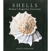 The Book of Shells: A Life-Size Guide to Identifying and