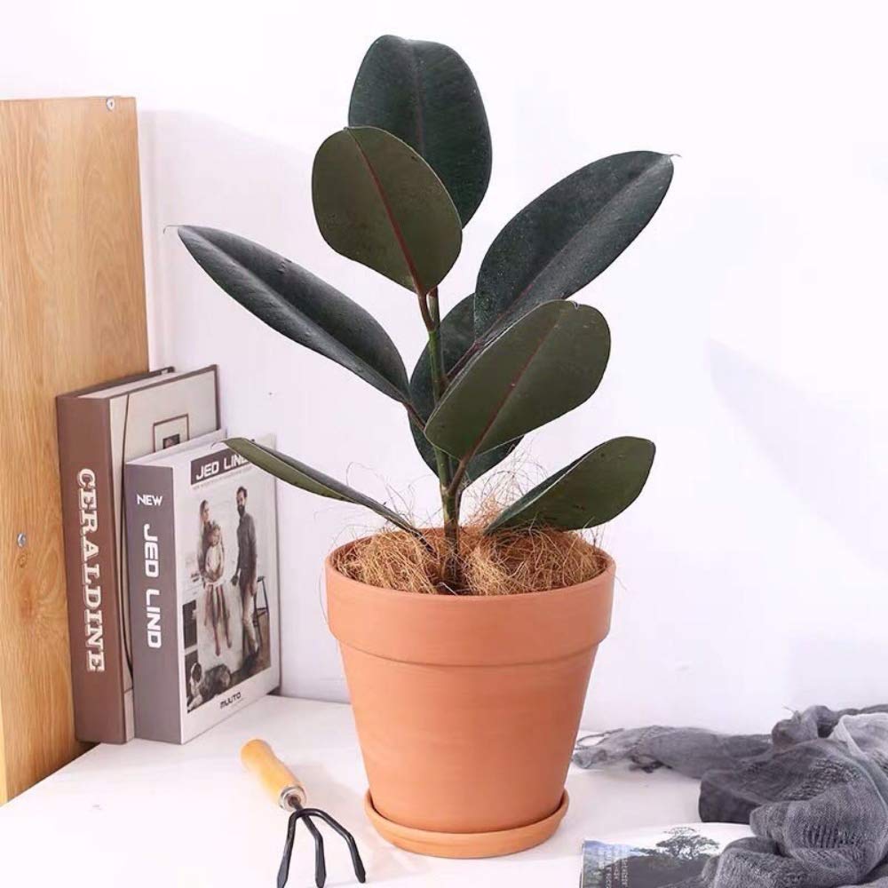 Dipamkar 15cm Set of 5 Terracotta Effect Garden Plant Pots Metal Planters Windowsill Herb Pots Indoor/Outdoor With Drainage & Saucer