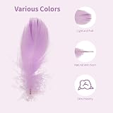 TYEQWT 400 Pcs Morandi Light Feathers for Crafts, Wedding Ornament, Mask view 4
