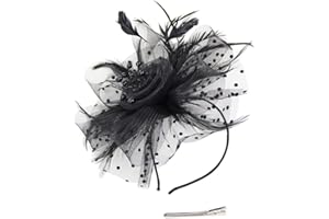HNBQMX Fascinator Hat 20s Pillbox Hat Cocktail Tea Party Hat Kentucky Derby Wedding Headwear for Women