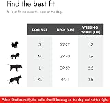 EzyDog Double Up Dog Collar Reflective ID Tag D-Ring Small to Large view 2