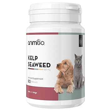 Animigo Alga Kelp Per Cani E Gatti Integratore Alimentare Naturale Per Il Benessere Di Pelle E Pelo Cervello E Funzione Tiroidea Alghe Kelp