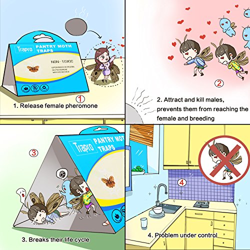 Pantry Moth Traps With Pre Baited Safe Pheromone Attractant Odor