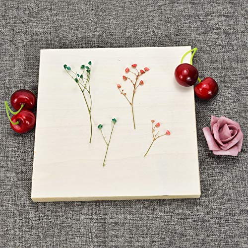 AQUEENLY 6 Pcs 8'' x 8'' Unfinished Wood Cradled Painting Panel Boards for Arts & Craft - Wooden Canvas Panels