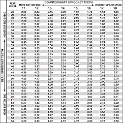 Pro-tek Made For Honda CRF-250L CRF-250F CRF-300L