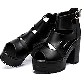 BHDJK Women'S Hollow Out High Top Chunky Heel Roman Sandals Summer Breathable Fish Mouth Pointed Toe Adjustable Ankle Strap Anti-Slip Platform High Heels Sandals