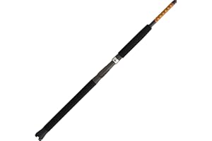 Ugly Stik Bigwater Casting Fishing Rod