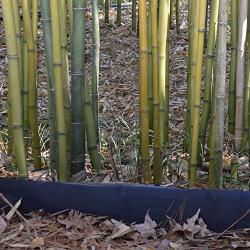 Bamboo Shield 100 feet Long x 24 inch x 60 mil Bamboo Root Barrier
