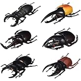 DOYIFUN Pack of 6 Lifelike Beetle Model Toys, Fake Realistic Insect Figures Collection Playset Science Educational Learning Toys for Kids Toddlers Halloween Party Favors(5.5inch)