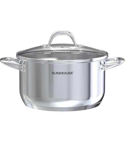 Amazon.com: ZWILLING 雙經典平底鍋附蓋24 公分6 公升適用於電磁爐
