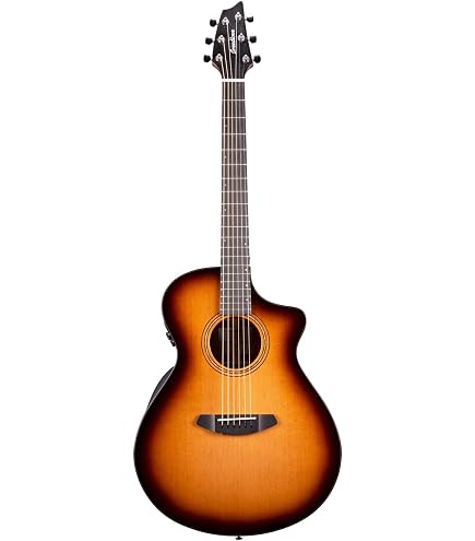 Amazon.com: Breedlove Discovery S Concerto Edgeburst CE European