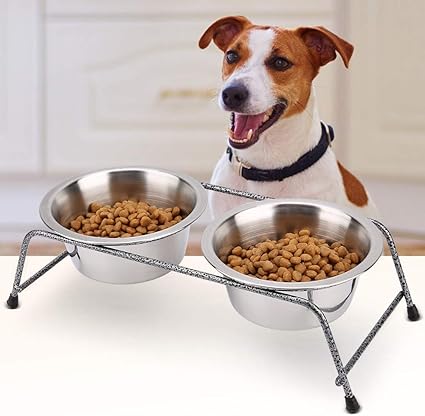 Kkjlxx Nouvelle Alimentation En Acier Inoxydable Pour Chien