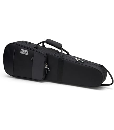 bam I'original Violin Case　FRANCE Bam France Violin Classic 4/4 Case - 2002S