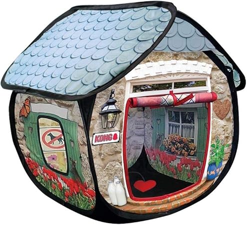 dog toy to put peanut butter in