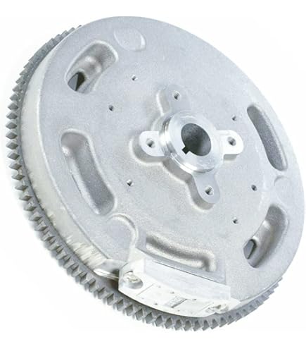 Amazon.com : Kohler Genuine 32-025-21-S Flywheel ASM OEM : Lawn