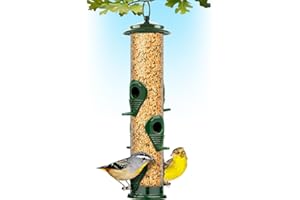 GRAY BUNNY Bird Feeders for Outdoors (Green) Squirrel Proof Hanging Bird Feeder with Locking Lid & Adjustable Hanger, Chew-Proof, Weather Resistant 15 Inches 6 Port