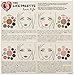 em michelle phan The Life Palette, Love Life
