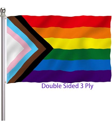 Progress Pride LGBTQ Flagge – 90 X 150 Cm, Aus Nylon, UV-beständig | Mit Genähten Streifen & Messingösen | Für Innen & Außen