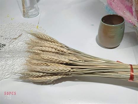 Amazon 7pcsホタルイナチュラルインテリアホーム結婚式の装飾のための花小パンパス草ヨシdiy人工花植物を干し 家の装飾 Color Primary 造花 オンライン通販