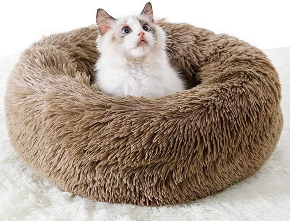 amazon marshmallow cat bed