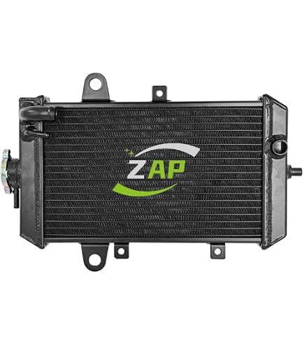 Amazon.com: ZAP Performance Aluminum Radiator Compatible with 2017