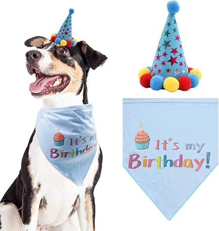 small dog birthday hat