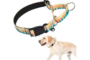 KOOLTAIL Martingale Collar for Dogs,Soft Padded Nylon Heavy Duty Dog Collar for Small Medium Large Dogs, Adjustable No Pull Durable Wide Puppy Training Collar with Pattern Design for Boys Girls, L