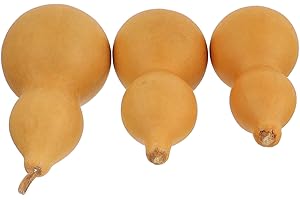 SEWCHICS 3pcs Natural Dried Gourd Décor Set, Handmade Artisan Gourds for Crafts and Desktop Ornamentation,