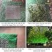 Luffy Create Beautiful Moss Wall Plant Net - Realistic Hang it on The Wall Plant Backdrop - Multifunctional and Easy to Install - Aesthetically Appealing Moss Floor - Makes Tank Cleaning Easy
